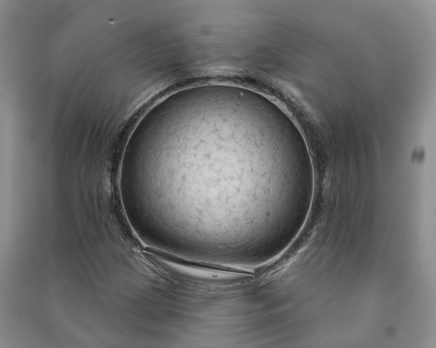 X0000090981209200708161849