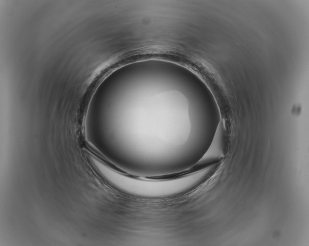 X0000090981210200708161849