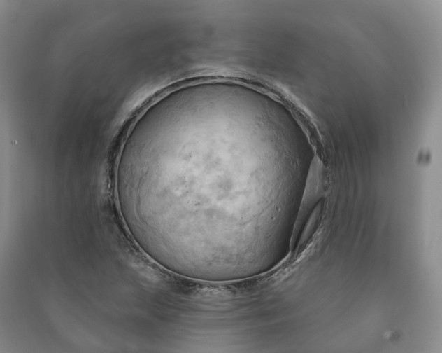 X0000090981215200708161849