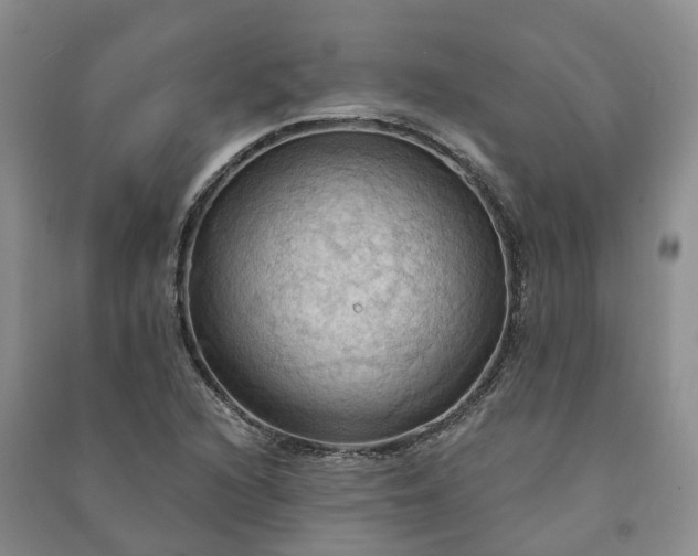 X0000090981216200708161849