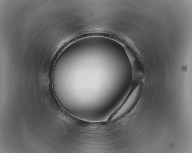 X0000090981218200708161849
