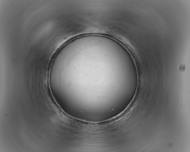 X0000090981220200708161849