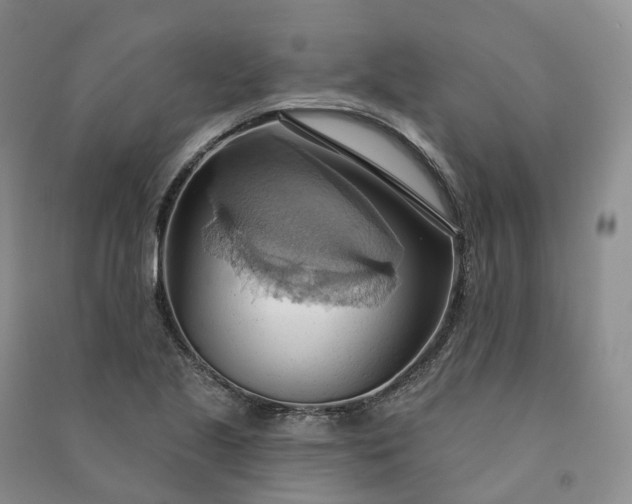 X0000090981221200708161849