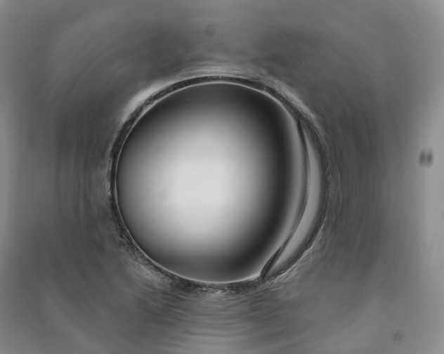 X0000090981222200708161849
