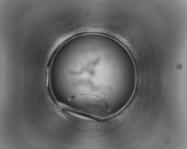 X0000090981223200708161849