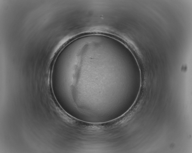 X0000090981224200708161849