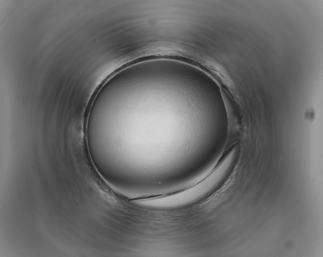 X0000090981226200708161849