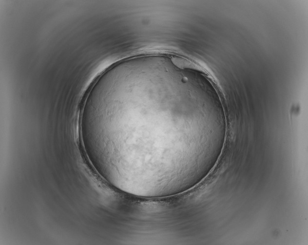 X0000090981227200708161849