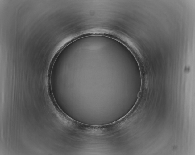 X0000090981229200708161849