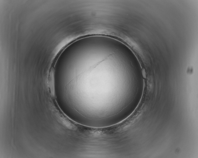 X0000090981230200708161849