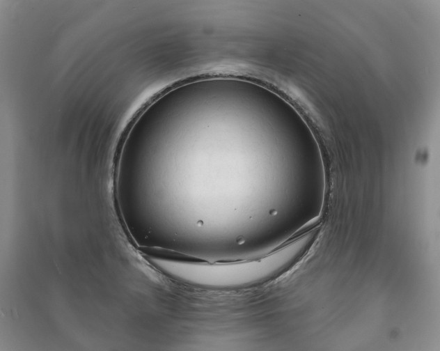 X0000090981232200708161849