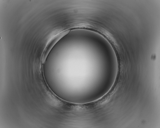 X0000090981234200708161849