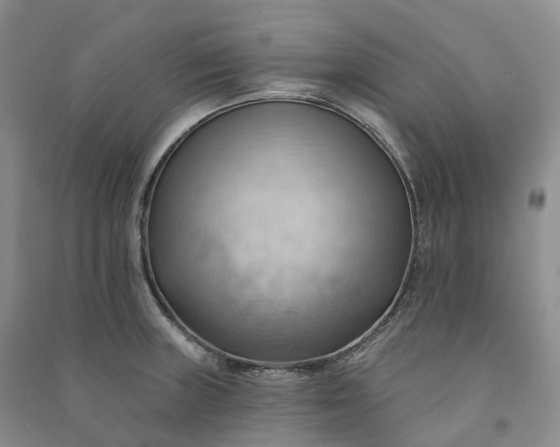 X0000090981235200708161849
