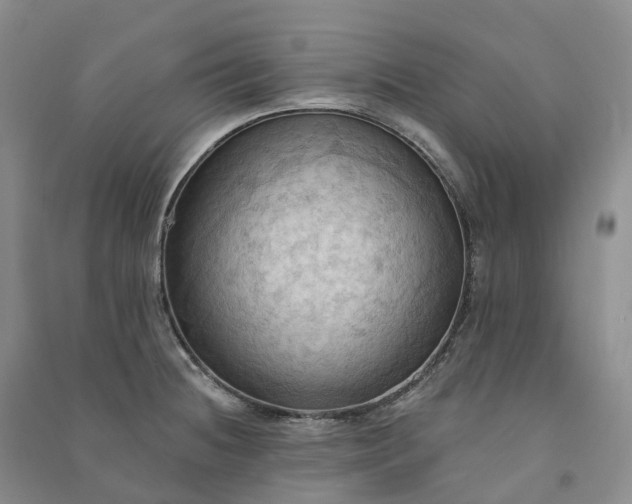 X0000090981236200708161849