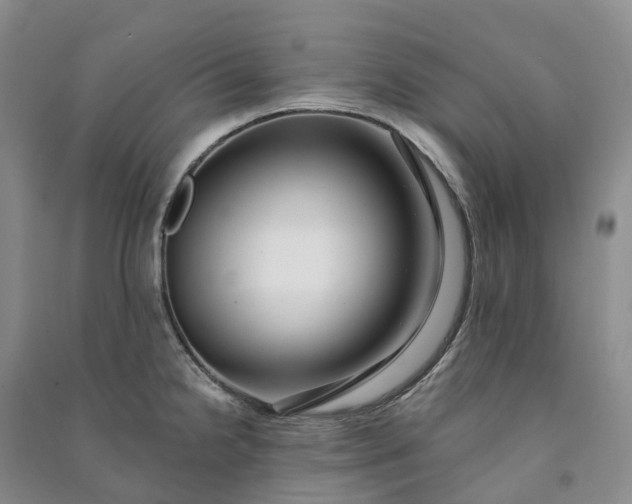 X0000090981238200708161849