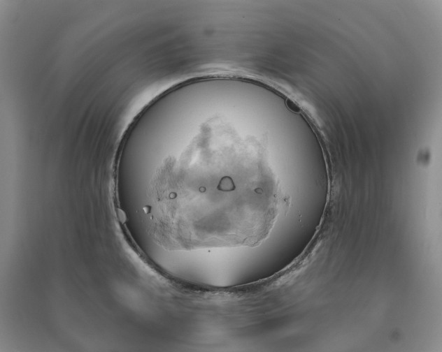 X0000090981239200708161849