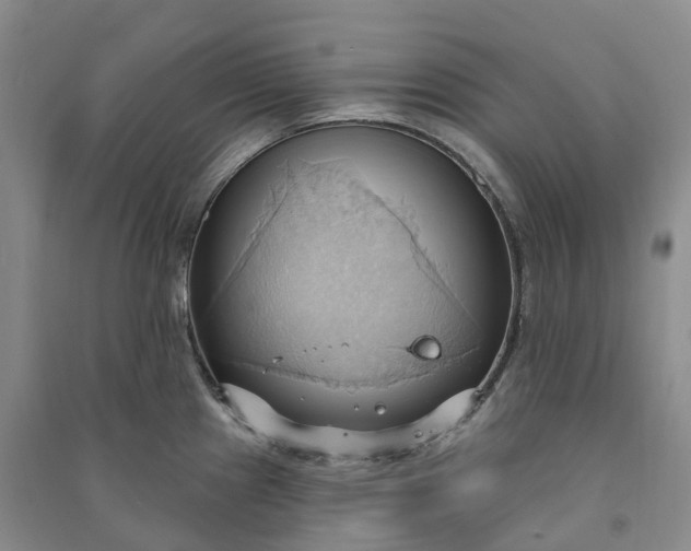 X0000090981241200708161849
