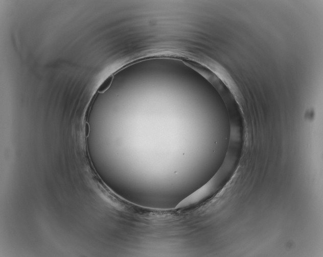 X0000090981242200708161849