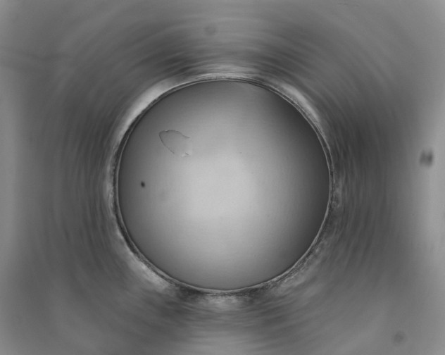 X0000090981243200708161849
