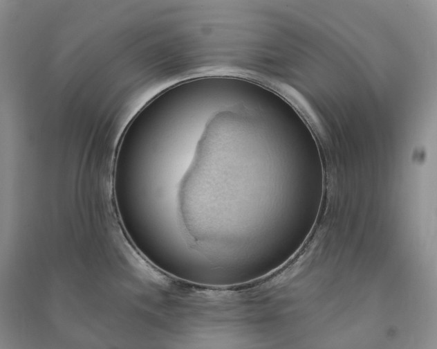 X0000090981244200708161849