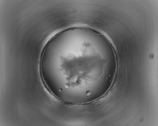 X0000090981245200708161849