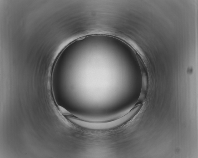 X0000090981246200708161849