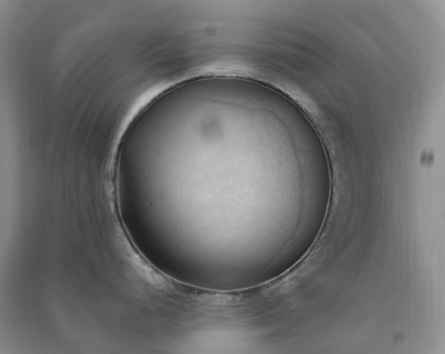 X0000090981248200708161849