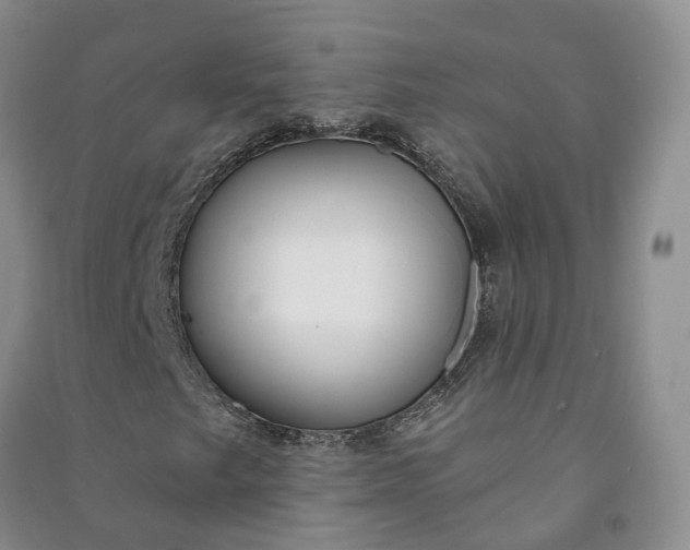 X0000090981249200708161849