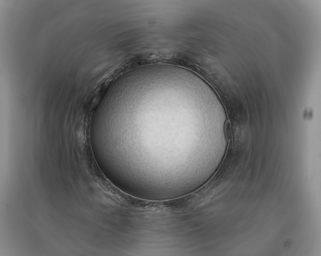 X0000090981250200708161849