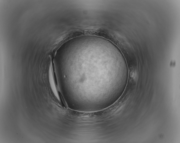 X0000090981252200708161849