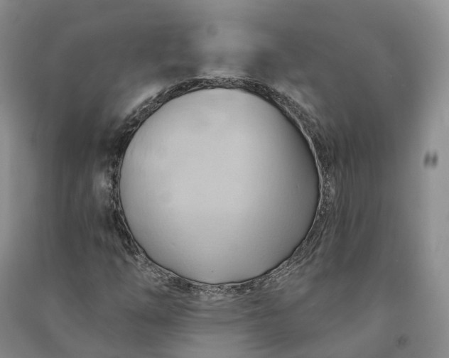 X0000090981254200708161849