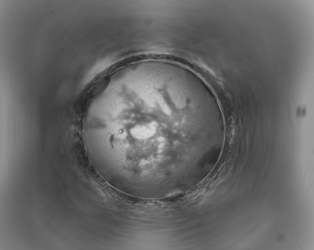 X0000090981255200708161849