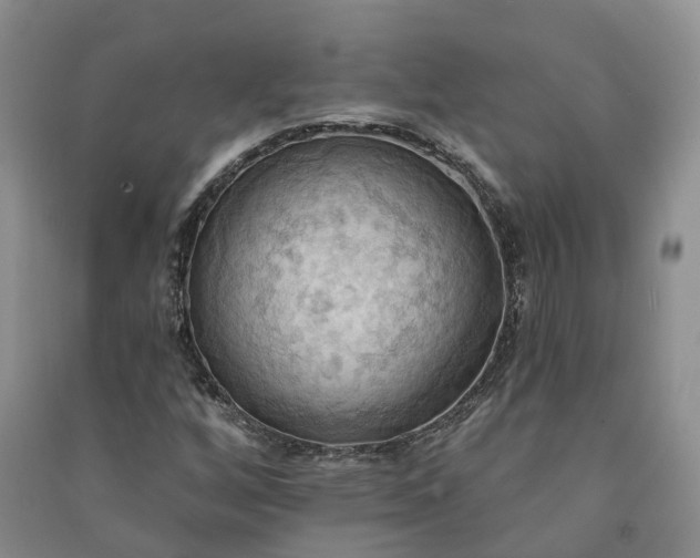 X0000090981256200708161849