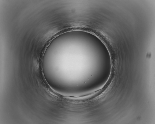 X0000090981257200708161849