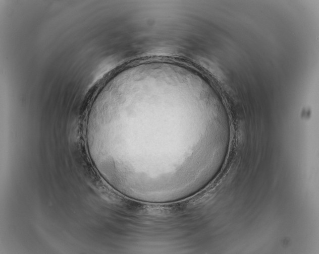 X0000090981258200708161849