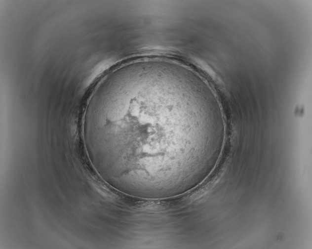 X0000090981259200708161849