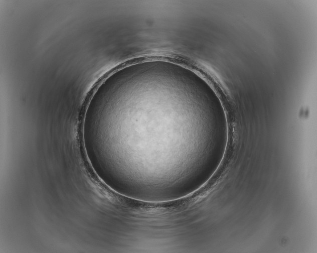 X0000090981260200708161849