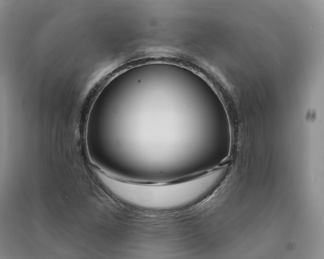 X0000090981261200708161849