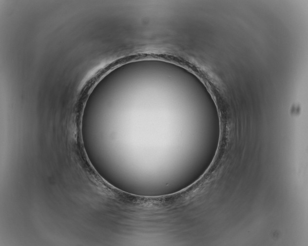 X0000090981262200708161849