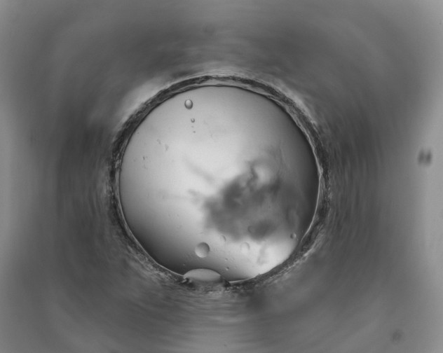 X0000090981263200708161849