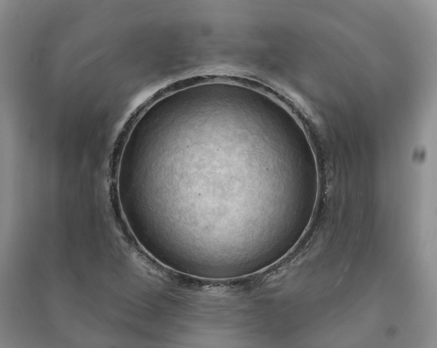 X0000090981264200708161849