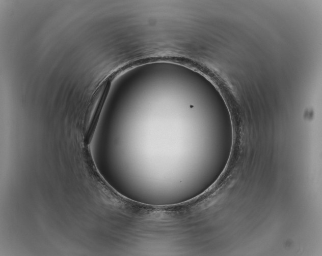 X0000090981265200708161849