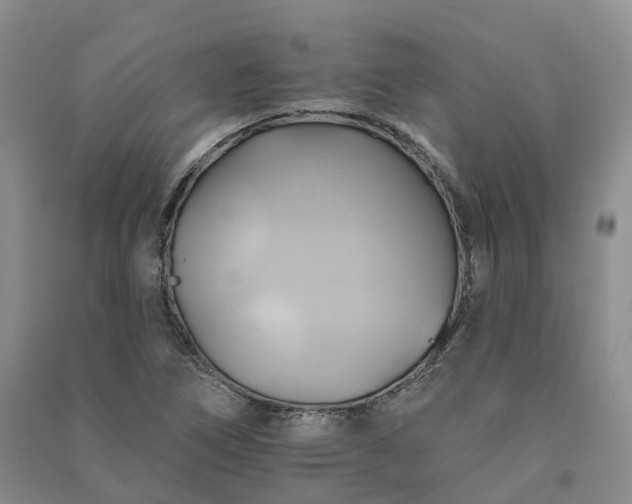 X0000090981266200708161849
