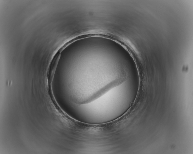 X0000090981268200708161849