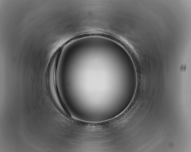 X0000090981269200708161849
