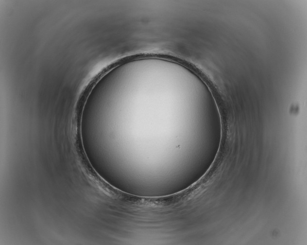 X0000090981270200708161848