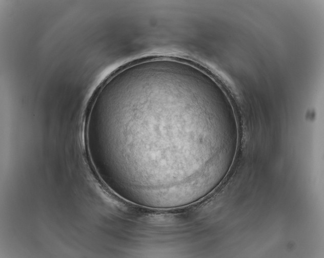 X0000090981272200708161848