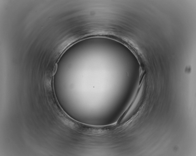 X0000090981273200708161848