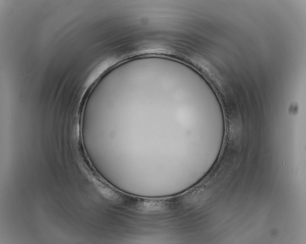 X0000090981274200708161848