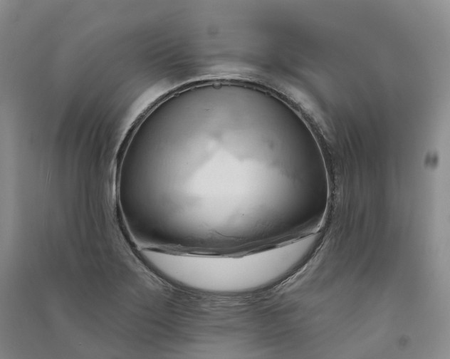 X0000090981275200708161848